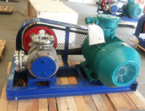 皮帶傳動NYP轉(zhuǎn)子泵 皮帶傳動NYP轉(zhuǎn)子泵