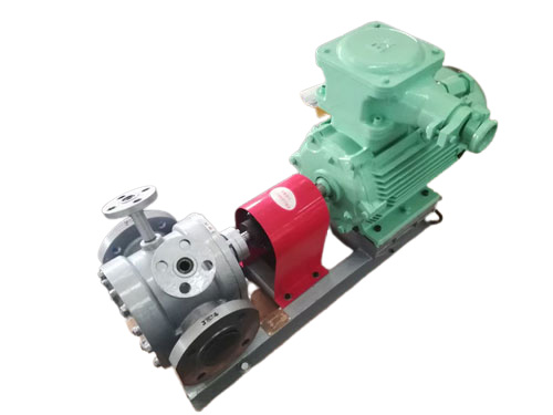 不繡鋼保溫齒輪泵 不繡鋼保溫齒輪泵